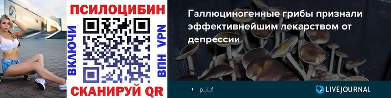 Галлюциногенные грибы Magic Shrooms  сайты даркнета телеграм  Приозерск  наркотики 